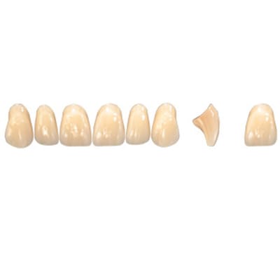 Pala Denture Teeth Mondial 6 Anterior CE - Upper T477