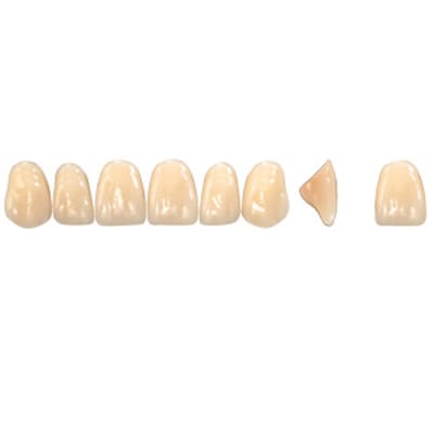 Pala Denture Teeth Mondial 6 Anterior CE - Upper T515