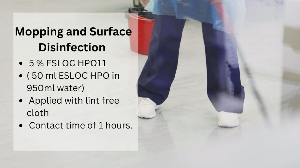 Mopping and Surface Disinfection 