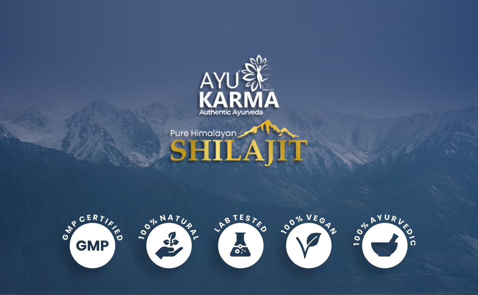AYUKARMA Ayurveda Pure Himalayan Shilajit/Shilajeet Resin 20g