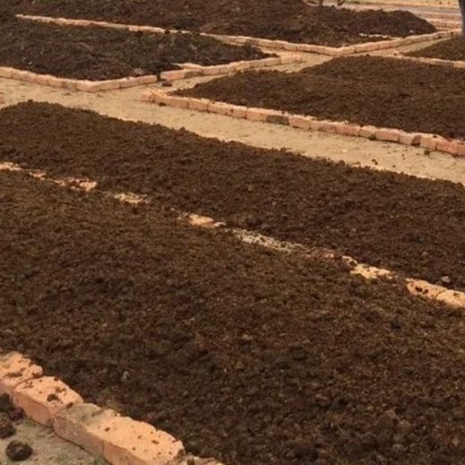 Organic Vermicompost