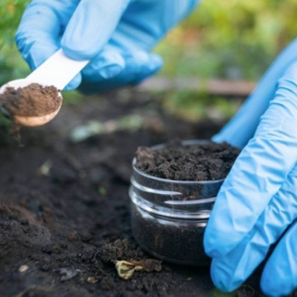 Good Quality Vermicompost