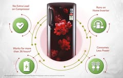 LG 190 L 4 Star Inverter Direct-Cool Single Door Refrigerator (GL-B201ASCY, Fastest Ice Making, Scarlet Charm)
