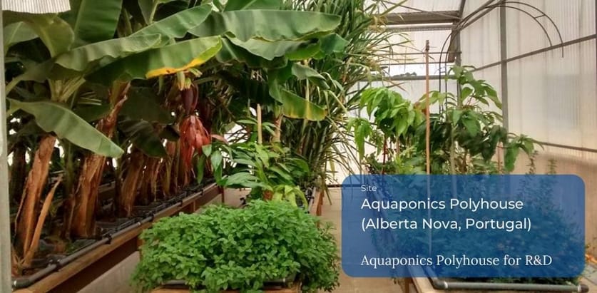 Urbagrow Aquaponics Consulting Portugal Work Banner