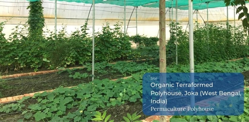 Urbagrow permaculture polyhouse banner
