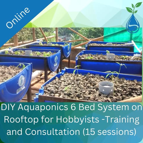 DIY Aquaponics 6 Bed System on Rooftop for Hobbyists - Online Training and Consultation (15 sessions)