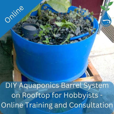 DIY Aquaponics Barrel System on Rooftop for Hobbyists - Online Training and Consultation (8 sessions)