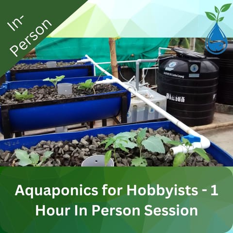 Aquaponics for Hobbyists - 1 Hour In Person Session