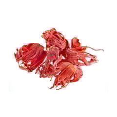 SURYA JAVATRI FLOWER / MACE