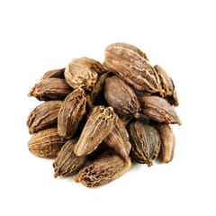 SURYA BLACK CARDAMOM / BIG ELAICHI