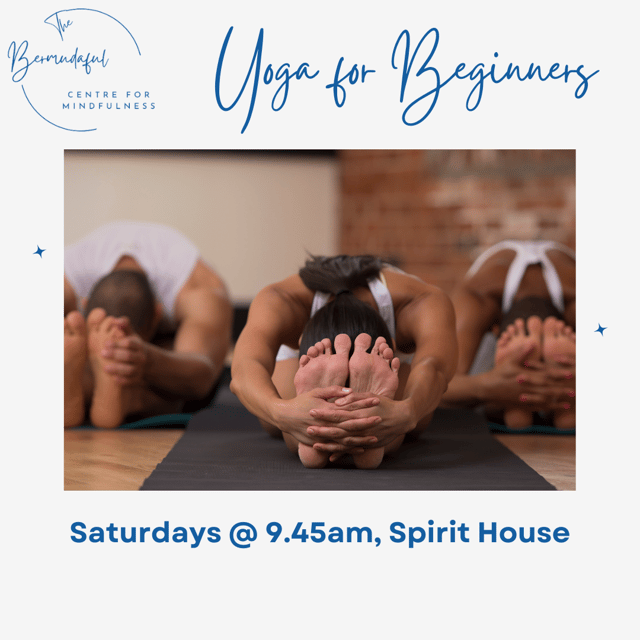Yoga for Beginners: Saturday mornings