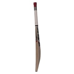 SS 281 Kashmir Willow Cricket Bat