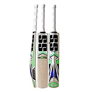 SS Master 100 Kashmir Willow Cricket Bat - SH