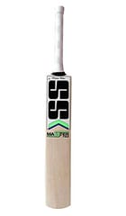 SS Master 100 Kashmir Willow Cricket Bat - SH
