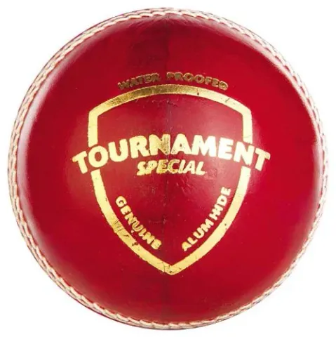 SG Tournament Special Leather Ball