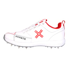 PAYNTR CRICKET SHOES X SPIKE - ALL WHITE