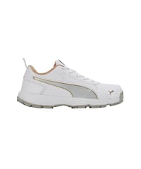 Puma Cricket Shoes Classicat Metallic Gold-Silver-White-Team Gold