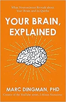 Your Brain, Explained