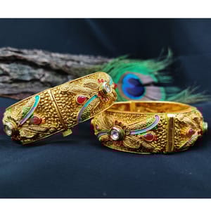 Delicate Matte Multi Colour Stone Studded Kada Bangles
