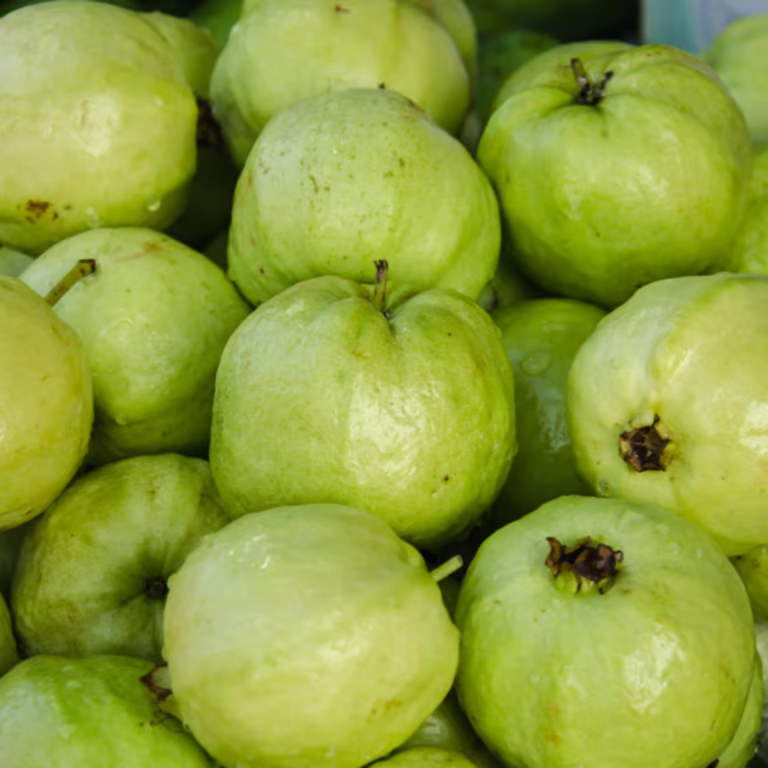 Why You Should Grow a Guava Plant in Your Garden