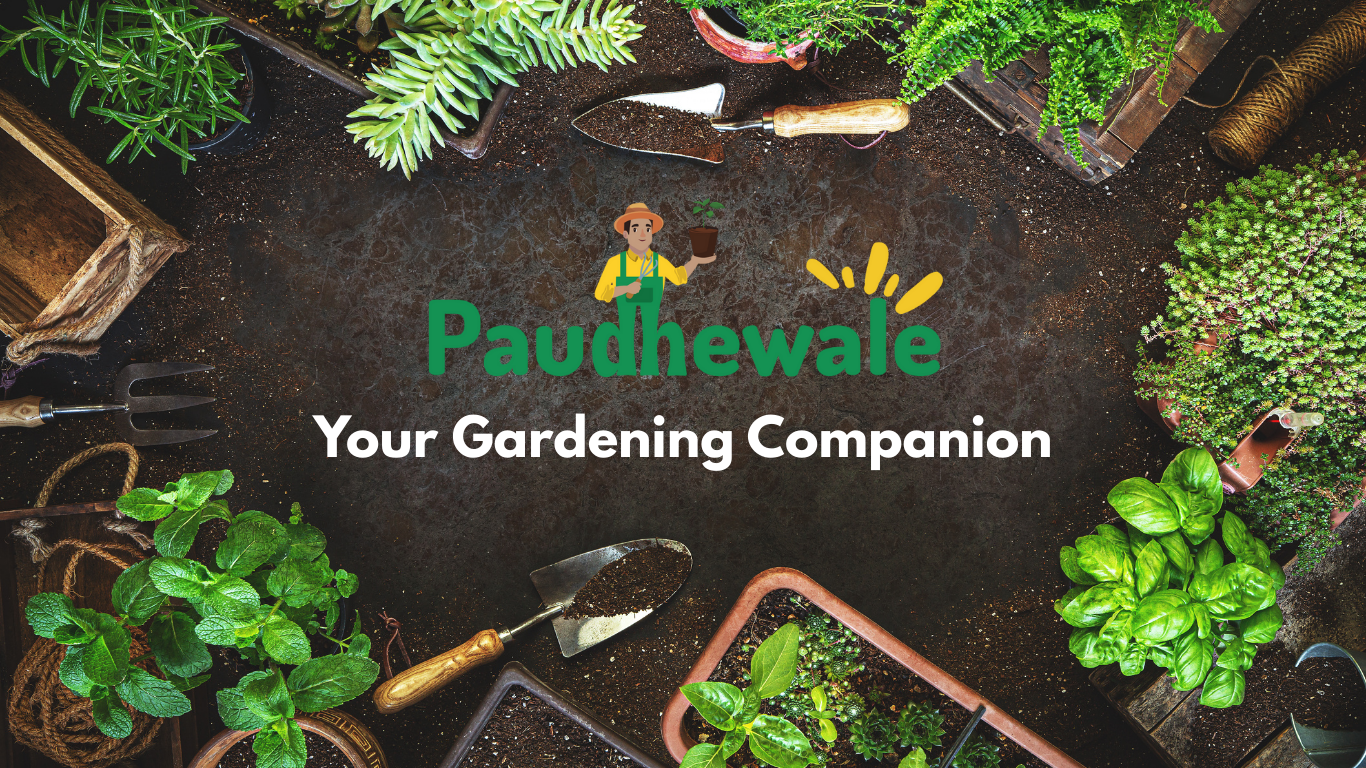 paudhewale banner forblog