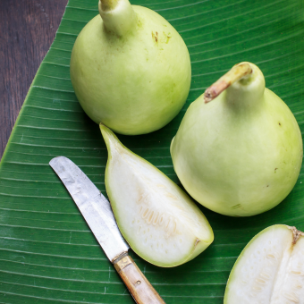 Bottle Gourd