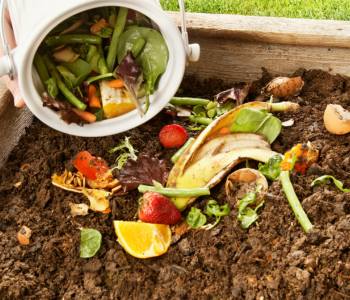 composting